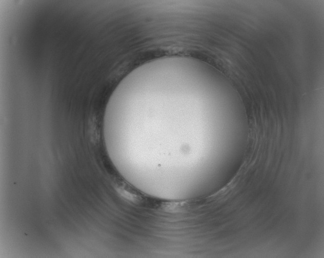 X0000073480136200607310901