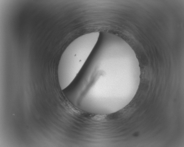 X0000073480138200607310901