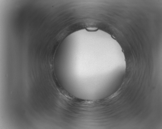 X0000073480140200607310901