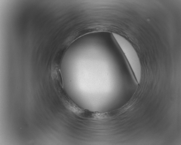 X0000073480141200607310901