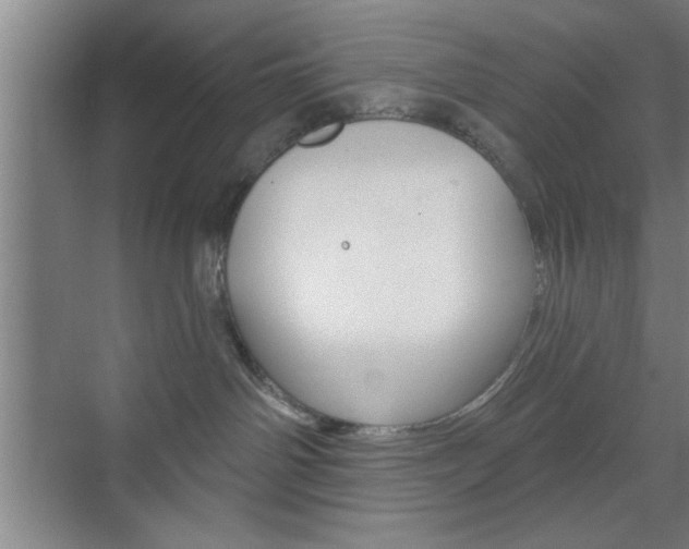 X0000073480142200607310901