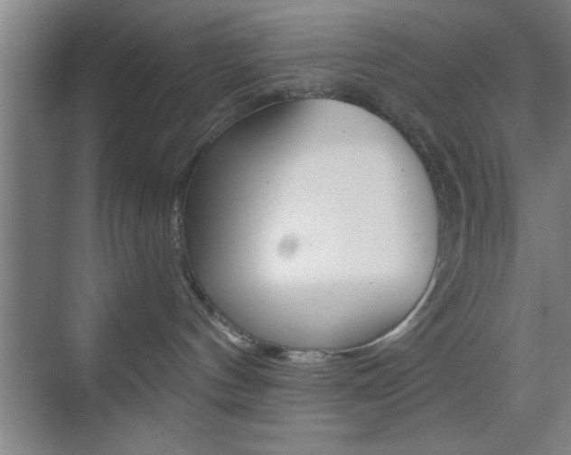 X0000073480144200607310900