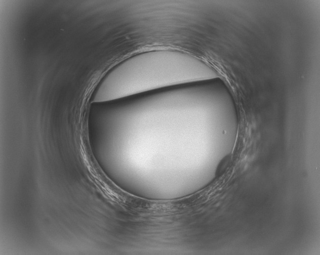 X0000073480145200607310900