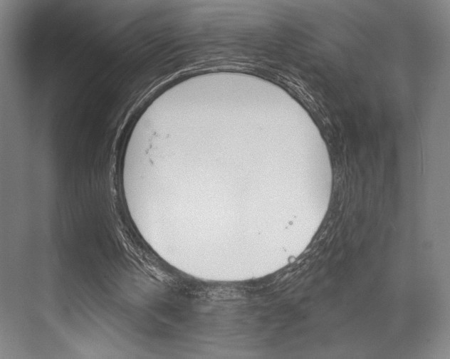 X0000073480146200607310900