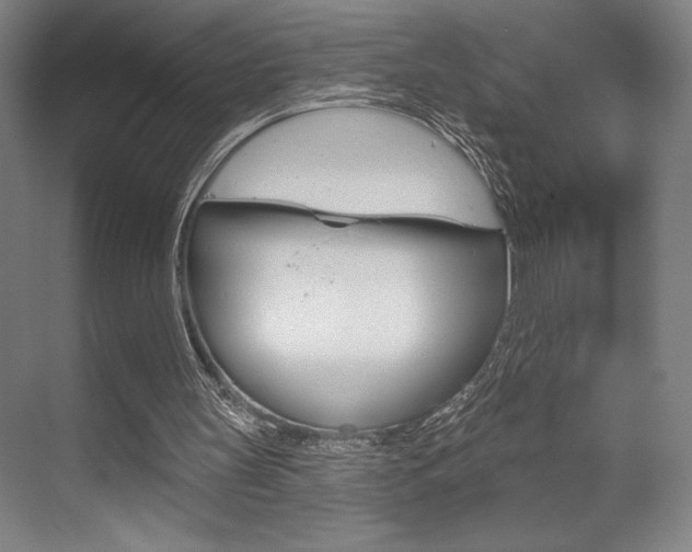 X0000073480147200607310900