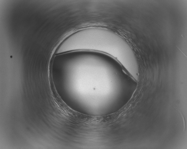 X0000073480148200607310900