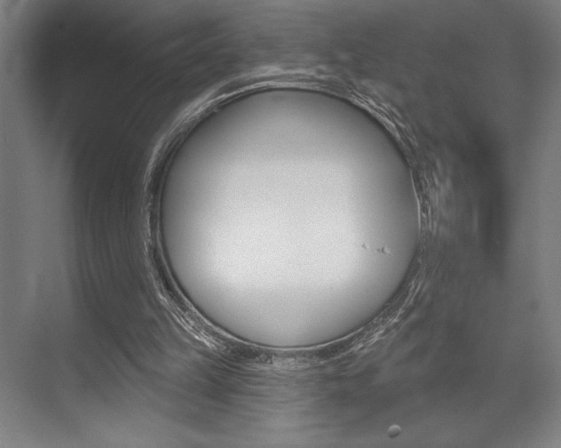 X0000073480149200607310900