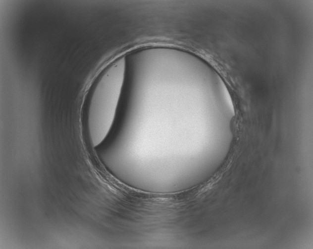 X0000073480151200607310900