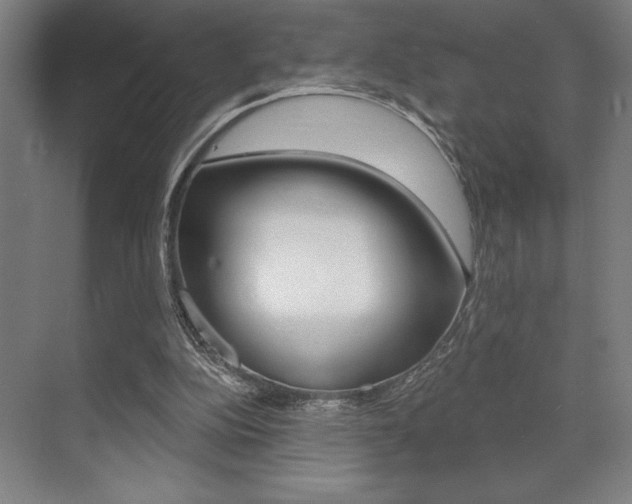 X0000073480152200607310900