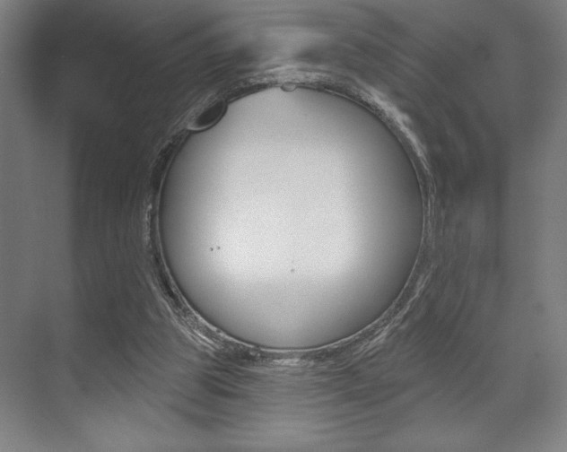 X0000073480153200607310900