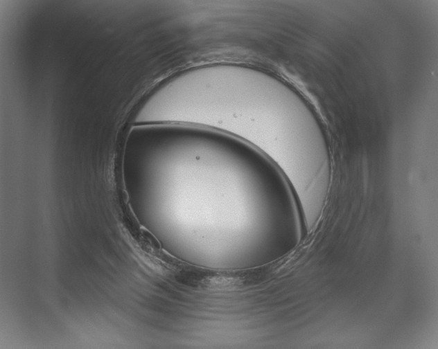 X0000073480154200607310900