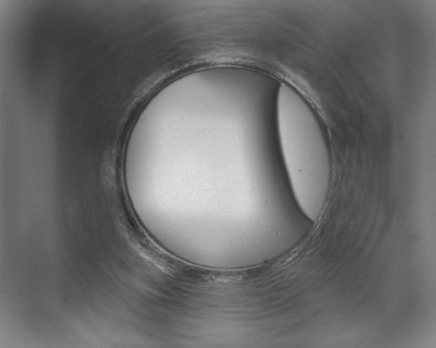 X0000073480155200607310900