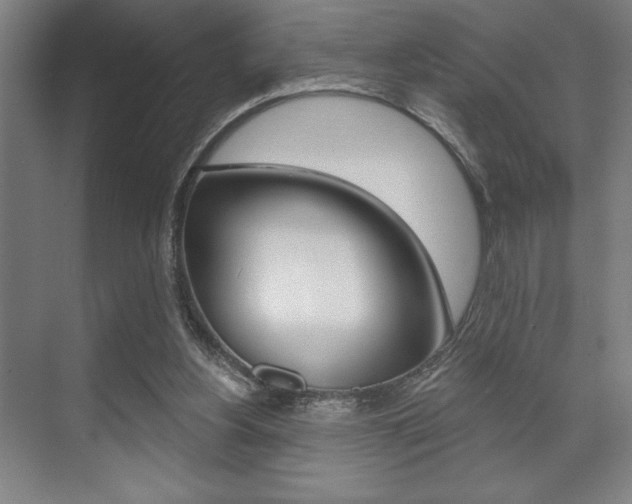 X0000073480156200607310900