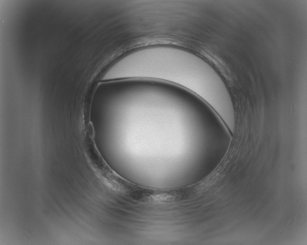 X0000073480158200607310900