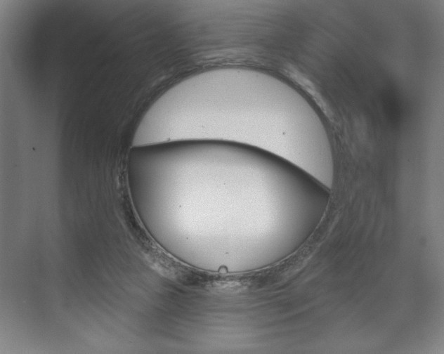 X0000073480161200607310900