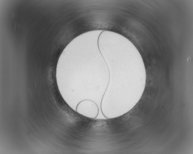 X0000073480162200607310900