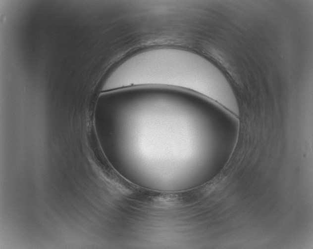 X0000073480164200607310900