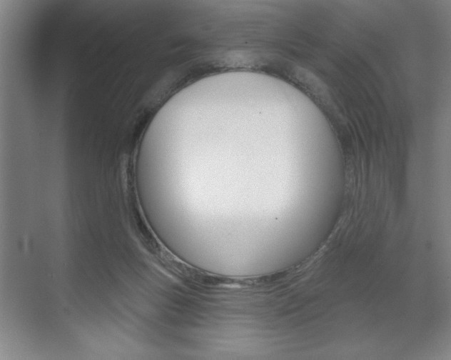 X0000073480167200607310900