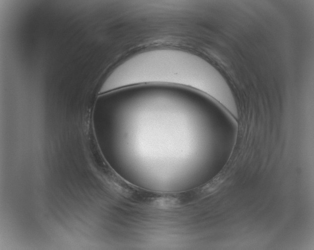 X0000073480168200607310900