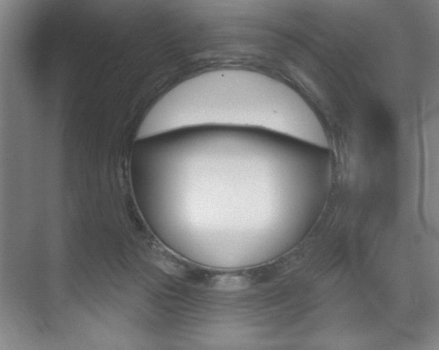 X0000073480169200607310900