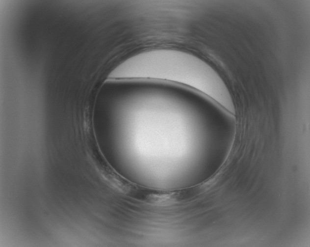 X0000073480170200607310900