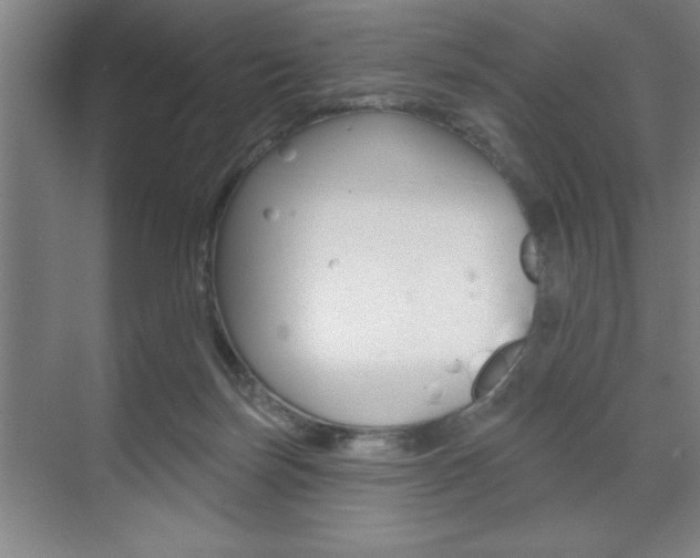 X0000073480171200607310900