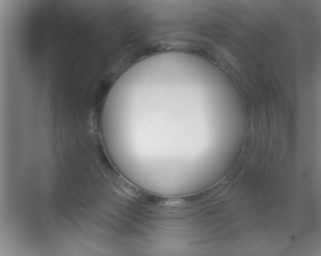 X0000073480173200607310900