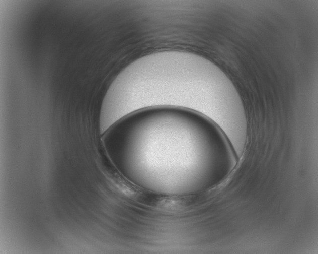 X0000073480174200607310900