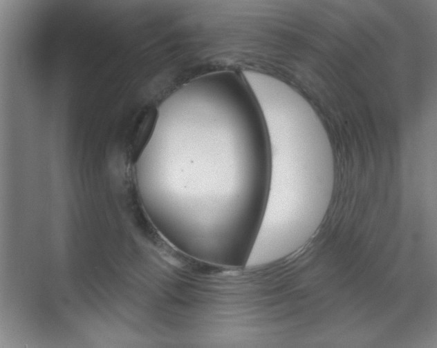 X0000073480176200607310900