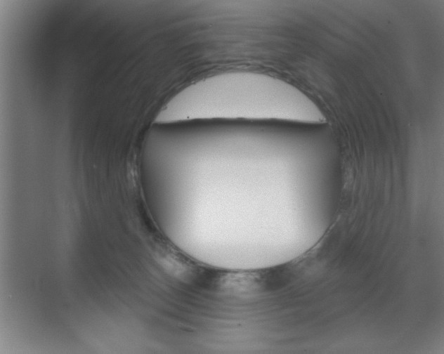 X0000073480179200607310900