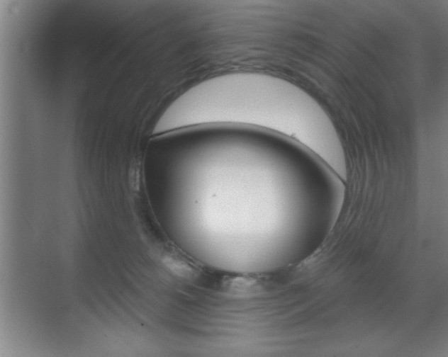 X0000073480180200607310900