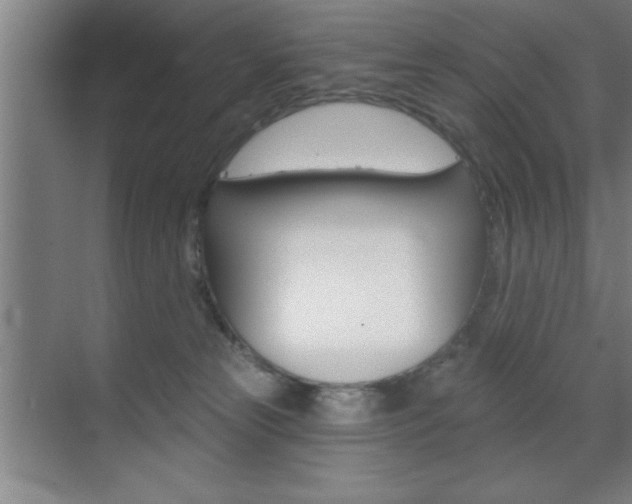 X0000073480181200607310900