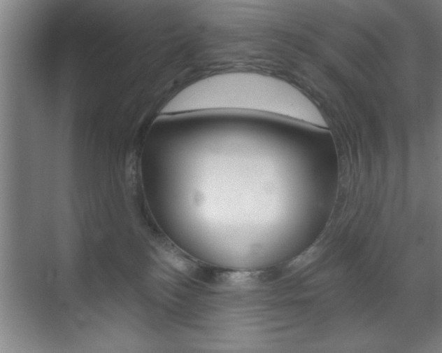 X0000073480184200607310900