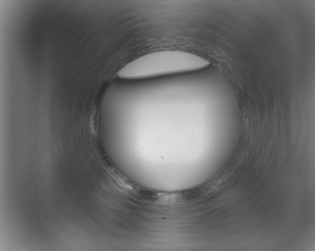 X0000073480185200607310900