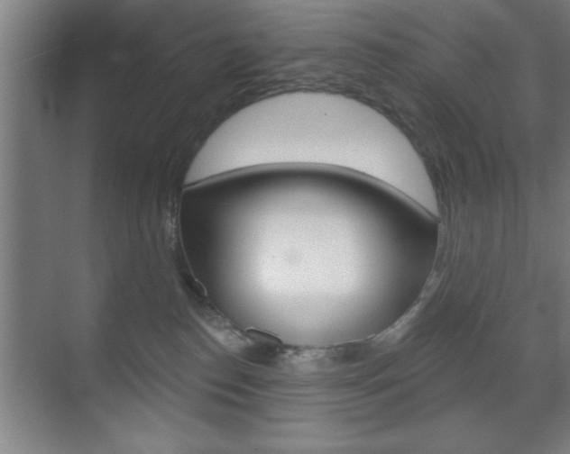 X0000073480186200607310900