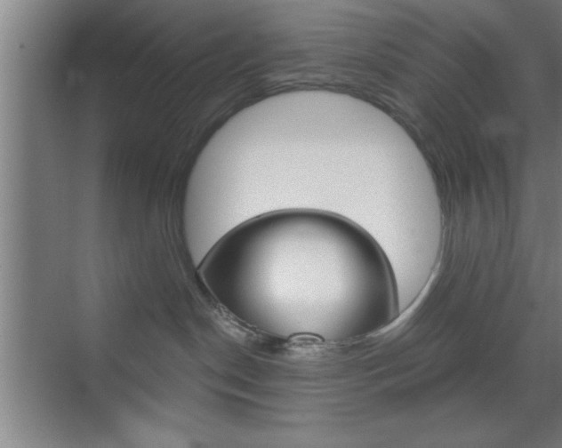 X0000073480190200607310900