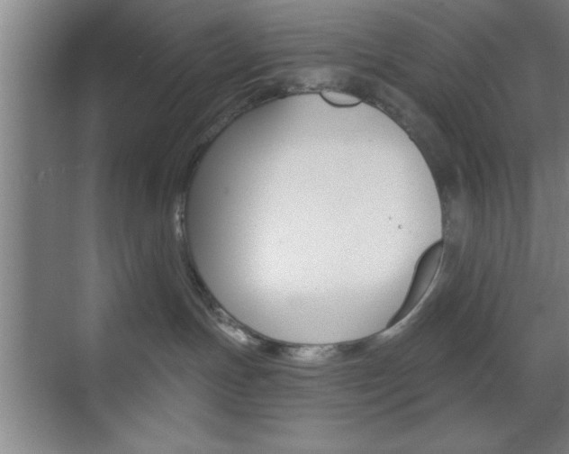 X0000073480191200607310900