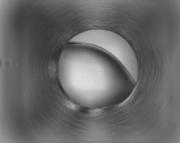 X0000073480192200607310900