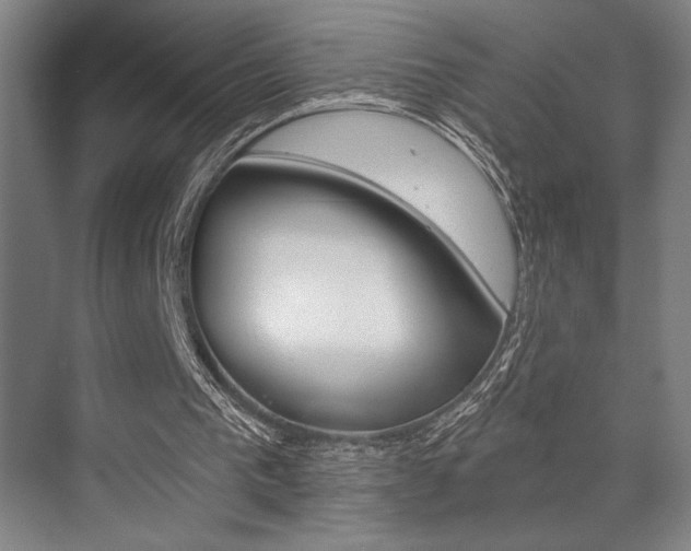 X0000073480193200607310900