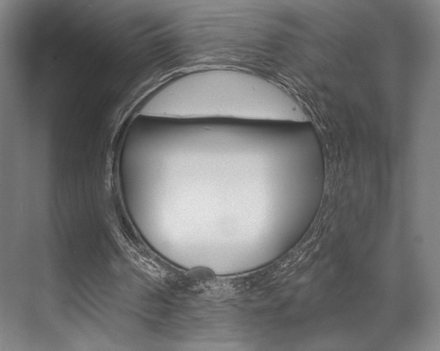 X0000073480194200607310900