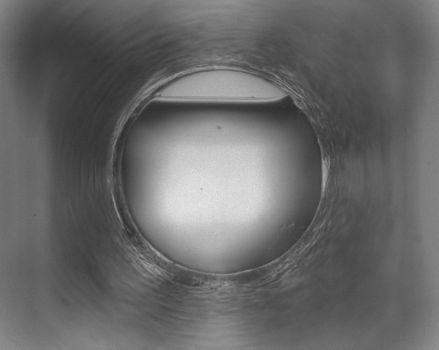 X0000073480195200607310900