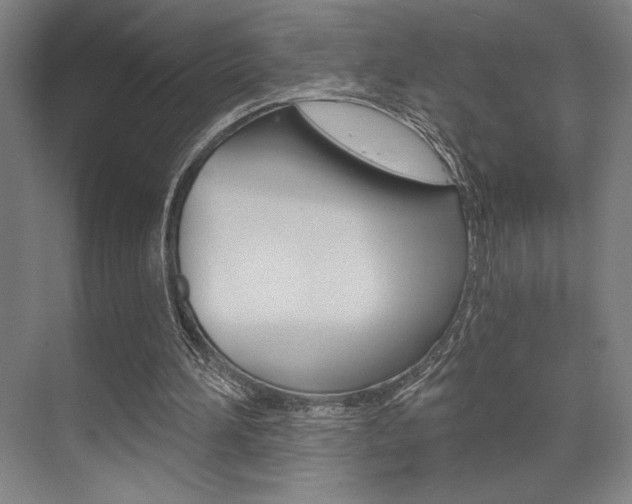 X0000073480196200607310900