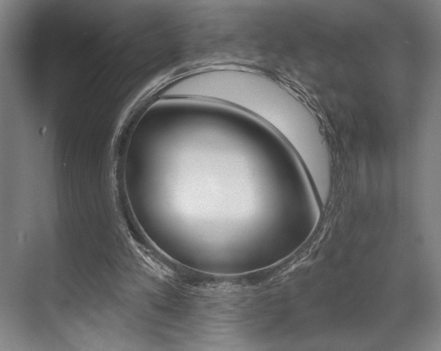 X0000073480197200607310900