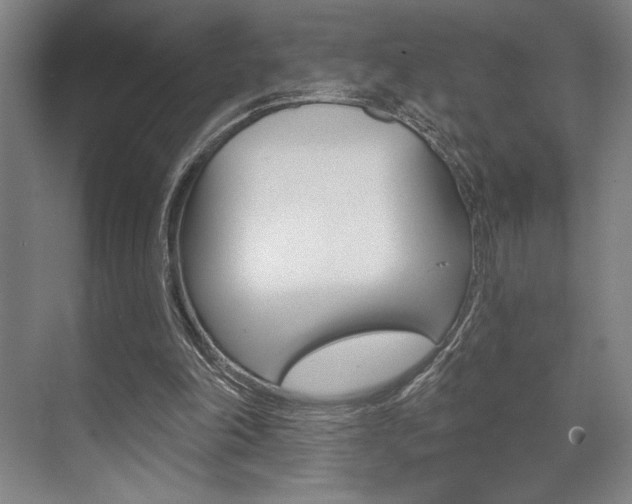 X0000073480198200607310900