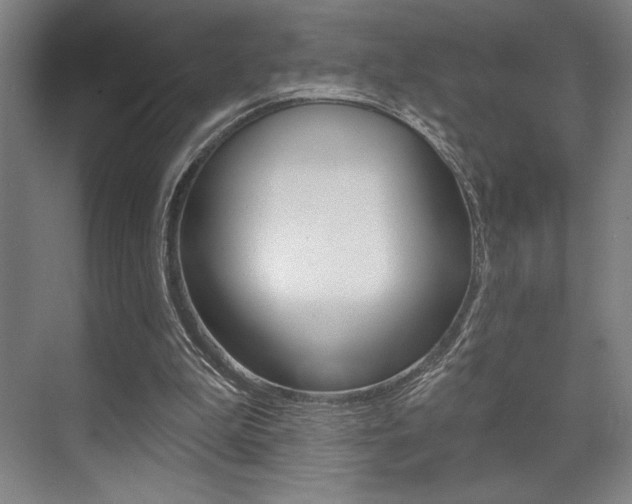 X0000073480199200607310900