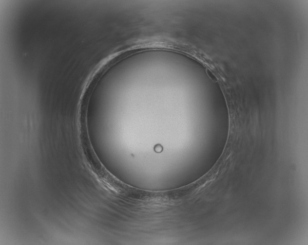 X0000073480200200607310900