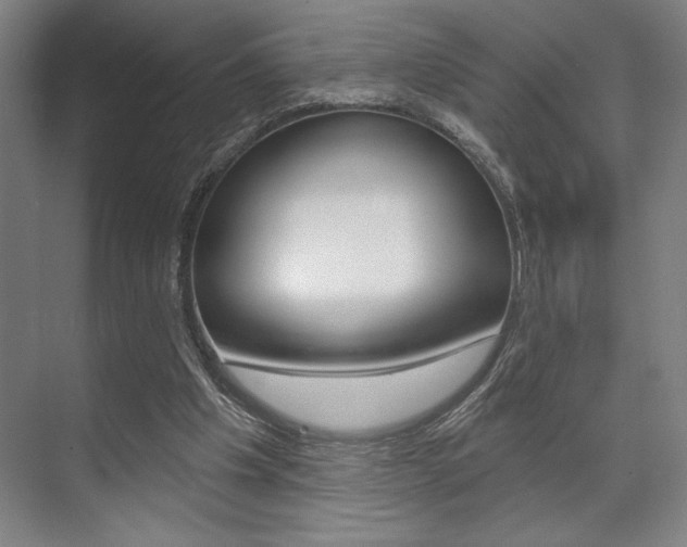 X0000073480201200607310900