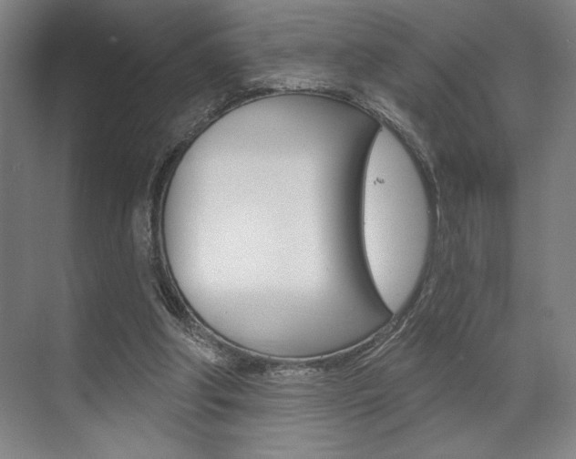 X0000073480202200607310900