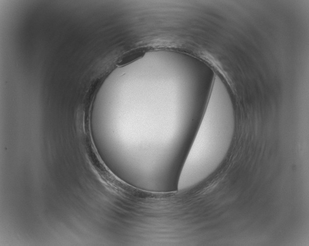 X0000073480205200607310859