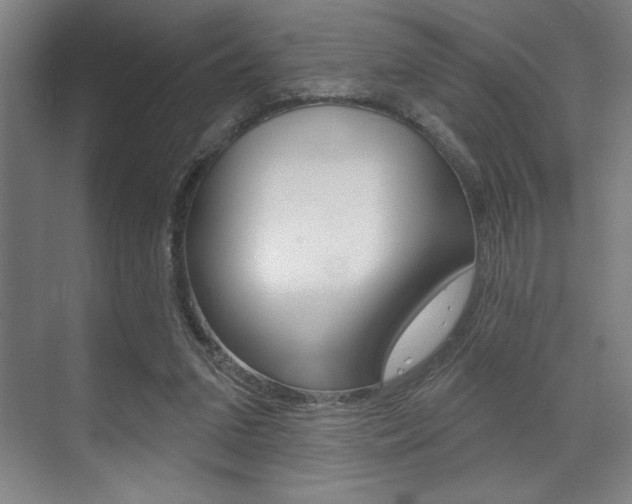 X0000073480207200607310859